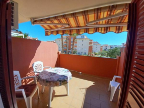 ESTUDIO WIOLKA, Algarrobo